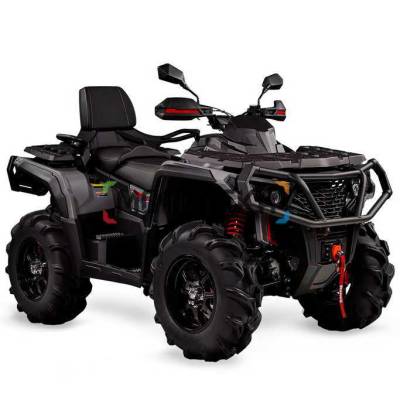 Квадроцикл AODES (Аодес) Pathcross ATV650L PRO EPS LCD двухместный серый с ПСМ