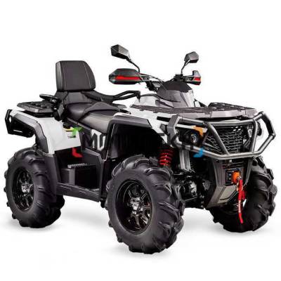 Квадроцикл AODES (Аодес) Pathcross ATV650L PRO EPS LCD двухместный белый с ПСМ